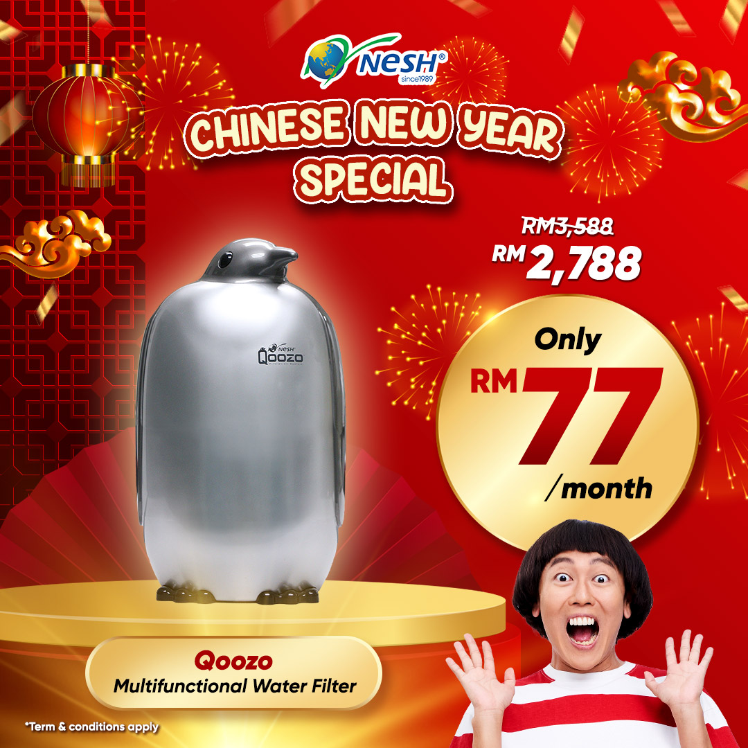 NESH Qoozo Indoor Water Filter